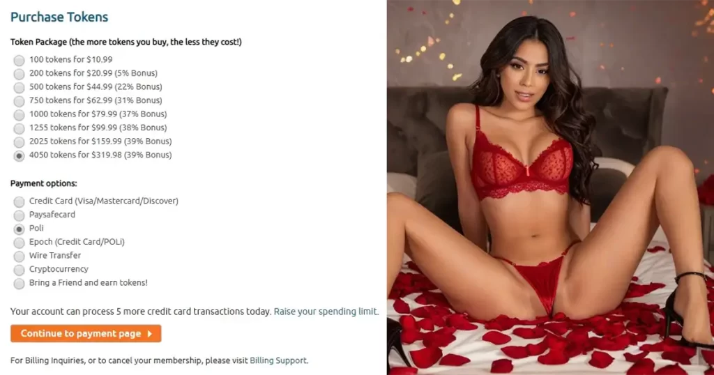 Understanding the Token/Credit System